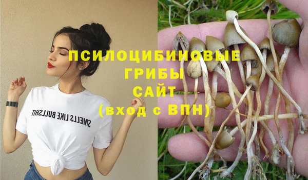 каннабис Новодвинск