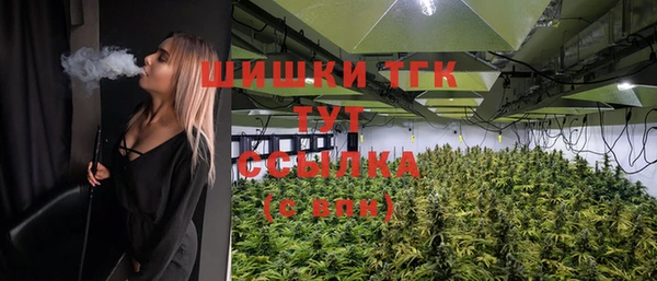 мяу мяу мука Новозыбков