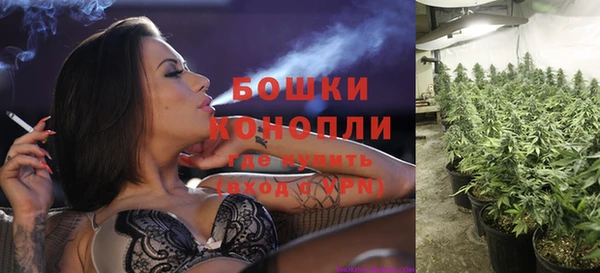 мяу мяу мука Новозыбков