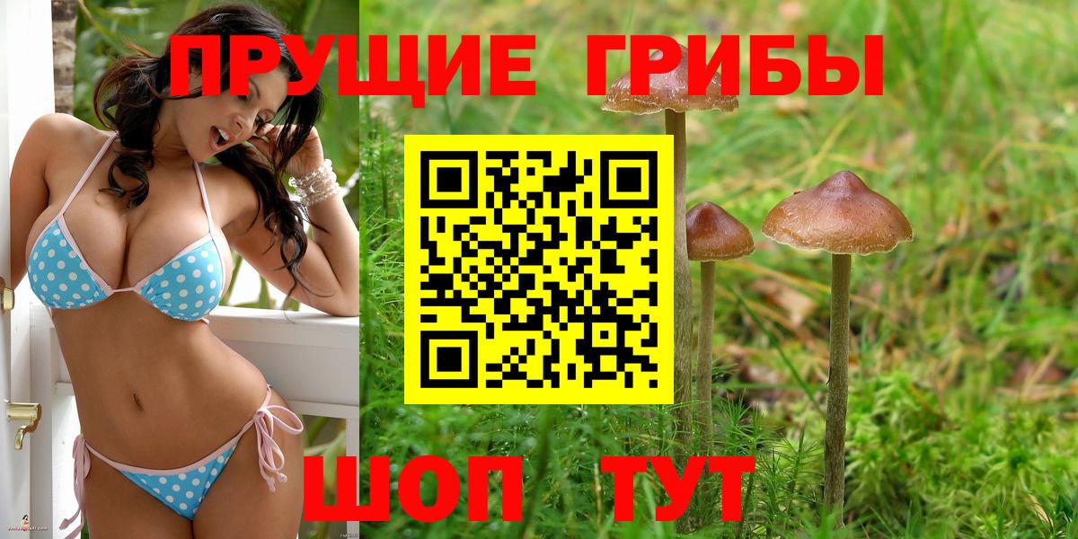 Галлюциногенные грибы GOLDEN TEACHER Прокопьевск
