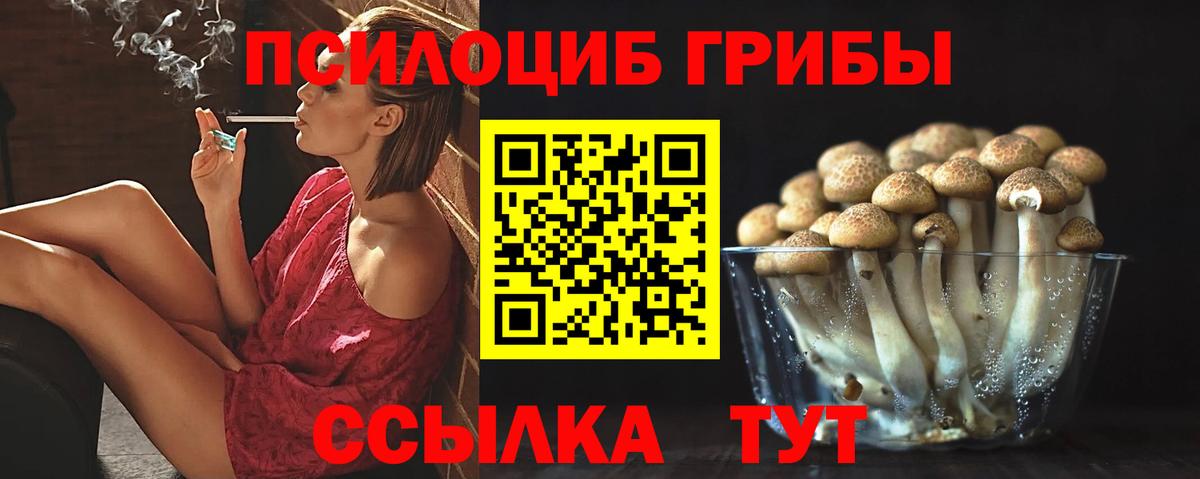 Псилоцибиновые грибы Psilocybe  Вход с VPN  Прокопьевск 
